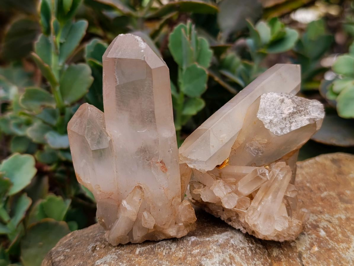 Natural Clear Quartz Crystal Clusters x 12 From Madagascar