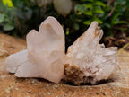 Natural Clear Quartz Crystal Clusters x 12 From Madagascar
