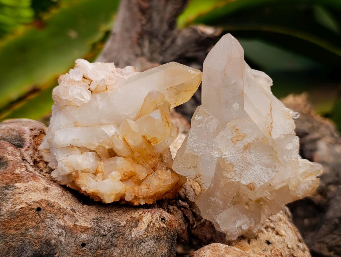 Natural Clear Quartz Crystal Clusters x 12 From Madagascar