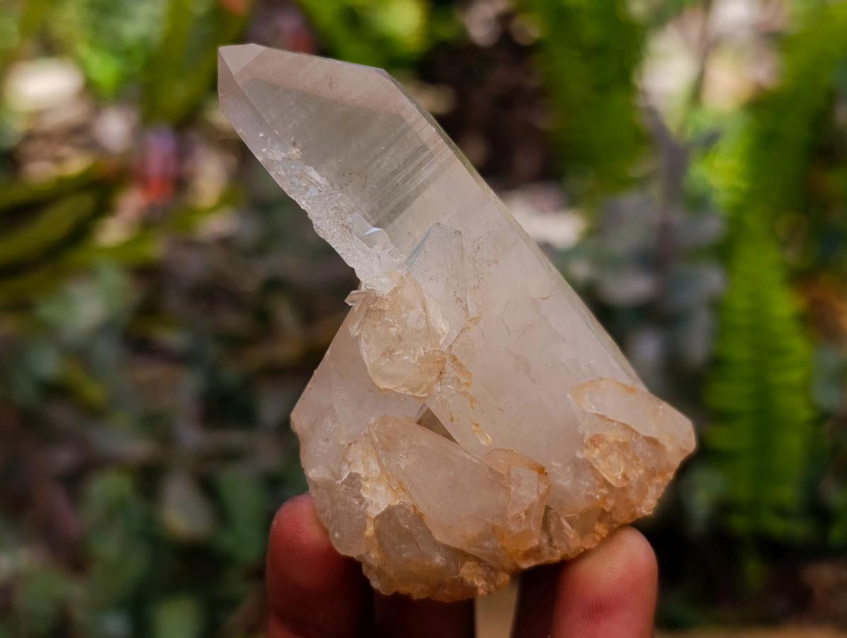 Natural Clear Quartz Crystal Clusters x 12 From Madagascar