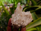 Natural Clear Quartz Crystal Clusters x 12 From Madagascar