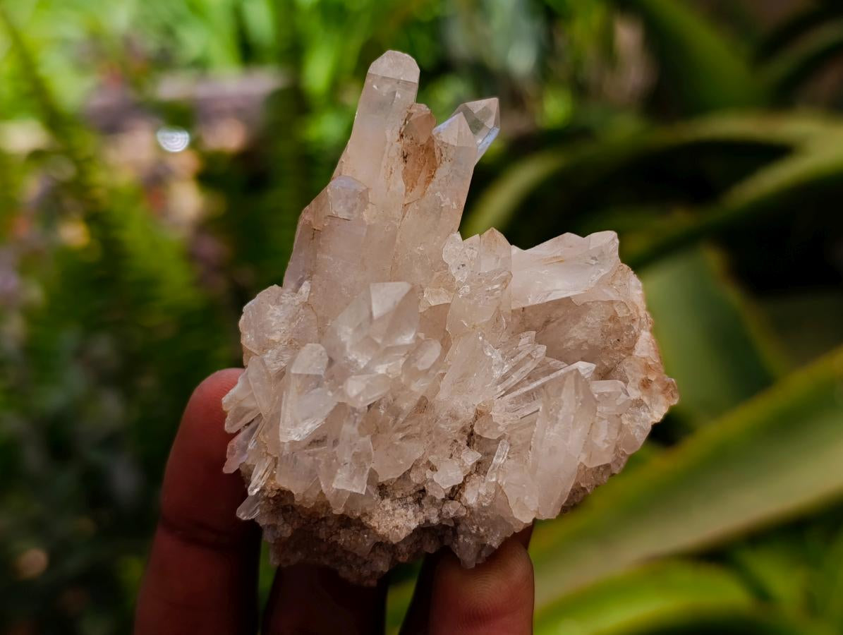 Natural Clear Quartz Crystal Clusters x 12 From Madagascar