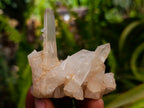 Natural Clear Quartz Crystal Clusters x 12 From Madagascar