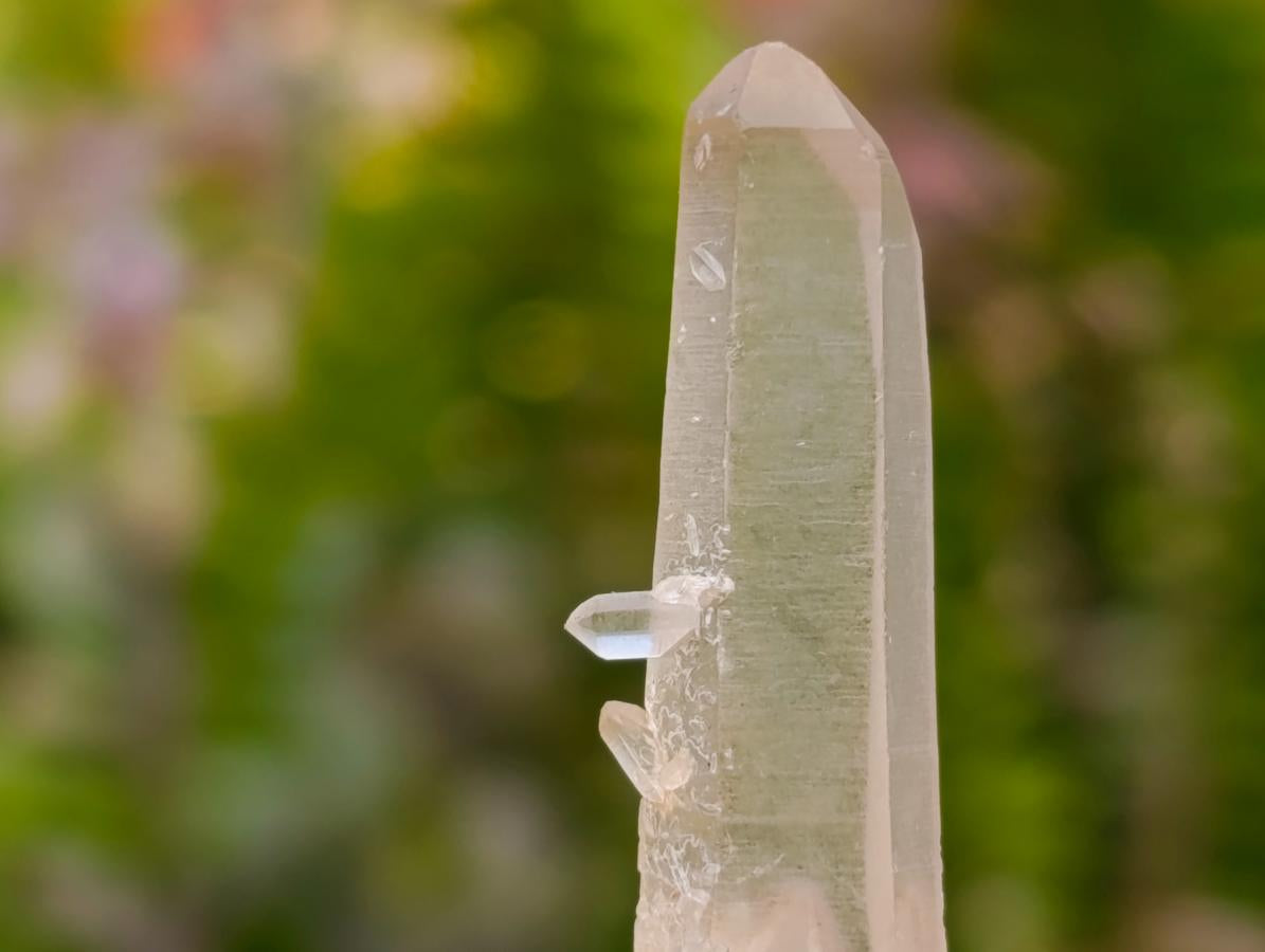 Natural Clear Quartz Crystal Clusters x 12 From Madagascar