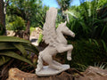 Hand Made White Soapstone Pegasus Carving x 1 From Zimbabwe