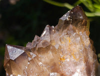 Natural Cascading Smokey Citrine Crystal Clusters x 6 From Luena, Congo