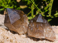 Natural Cascading Smokey Citrine Crystal Clusters x 6 From Luena, Congo