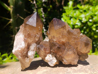 Natural Cascading Smokey Citrine Crystal Clusters x 6 From Luena, Congo