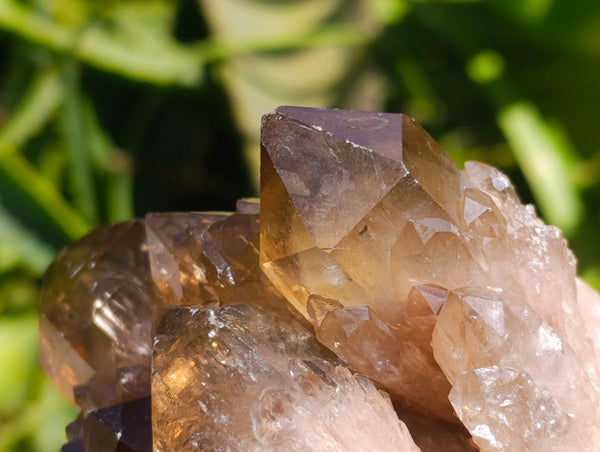 Natural Cascading Smokey Citrine Crystal Clusters x 6 From Luena, Congo