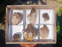 Natural Cascading Smokey Citrine Crystal Clusters x 6 From Luena, Congo