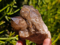 Natural Cascading Smokey Citrine Crystal Clusters x 6 From Luena, Congo