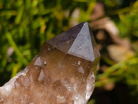 Natural Cascading Smokey Citrine Crystal Clusters x 6 From Luena, Congo