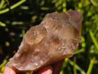 Natural Cascading Smokey Citrine Crystal Clusters x 6 From Luena, Congo