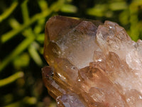 Natural Cascading Smokey Citrine Crystal Clusters x 6 From Luena, Congo