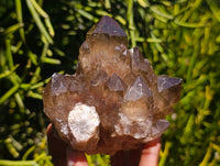 Natural Cascading Smokey Citrine Crystal Clusters x 6 From Luena, Congo