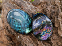 Polished Labradorite Galets x 12 From Tulear, Madagascar
