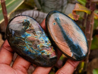 Polished Labradorite Galets x 12 From Tulear, Madagascar