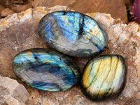 Polished Labradorite Galets x 12 From Tulear, Madagascar