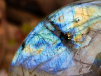 Polished Labradorite Galets x 12 From Tulear, Madagascar