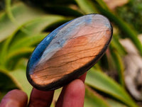 Polished Labradorite Galets x 12 From Tulear, Madagascar
