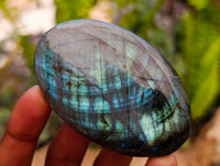 Polished Labradorite Galets x 12 From Tulear, Madagascar