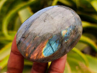 Polished Labradorite Galets x 12 From Tulear, Madagascar