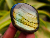 Polished Labradorite Galets x 12 From Tulear, Madagascar
