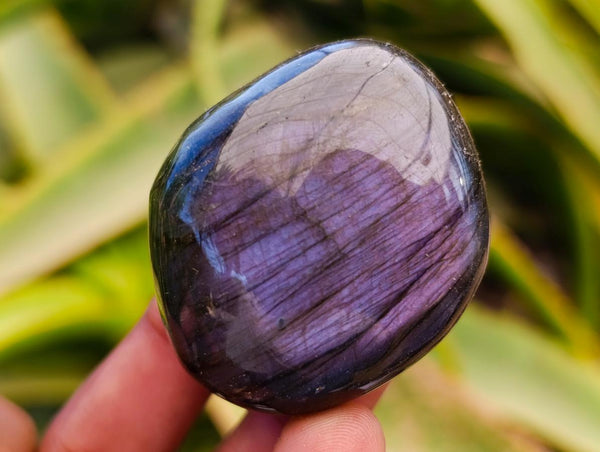 Polished Labradorite Galets x 12 From Tulear, Madagascar