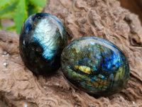 Polished Labradorite Galets x 12 From Tulear, Madagascar