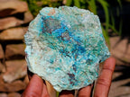 Natural Shattuckite, Malachite And Chrysocolla Specimens x 12 From Kaokoveld, Namibia