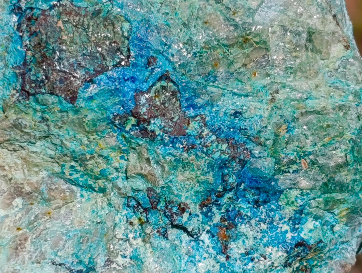 Natural Shattuckite, Malachite And Chrysocolla Specimens x 12 From Kaokoveld, Namibia