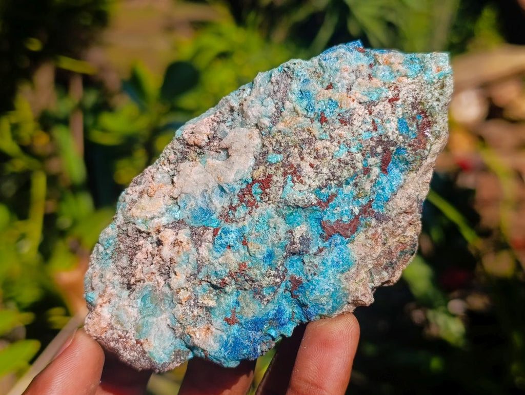 Natural Shattuckite, Malachite And Chrysocolla Specimens x 12 From Kaokoveld, Namibia