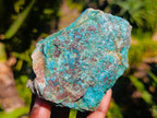 Natural Shattuckite, Malachite And Chrysocolla Specimens x 12 From Kaokoveld, Namibia