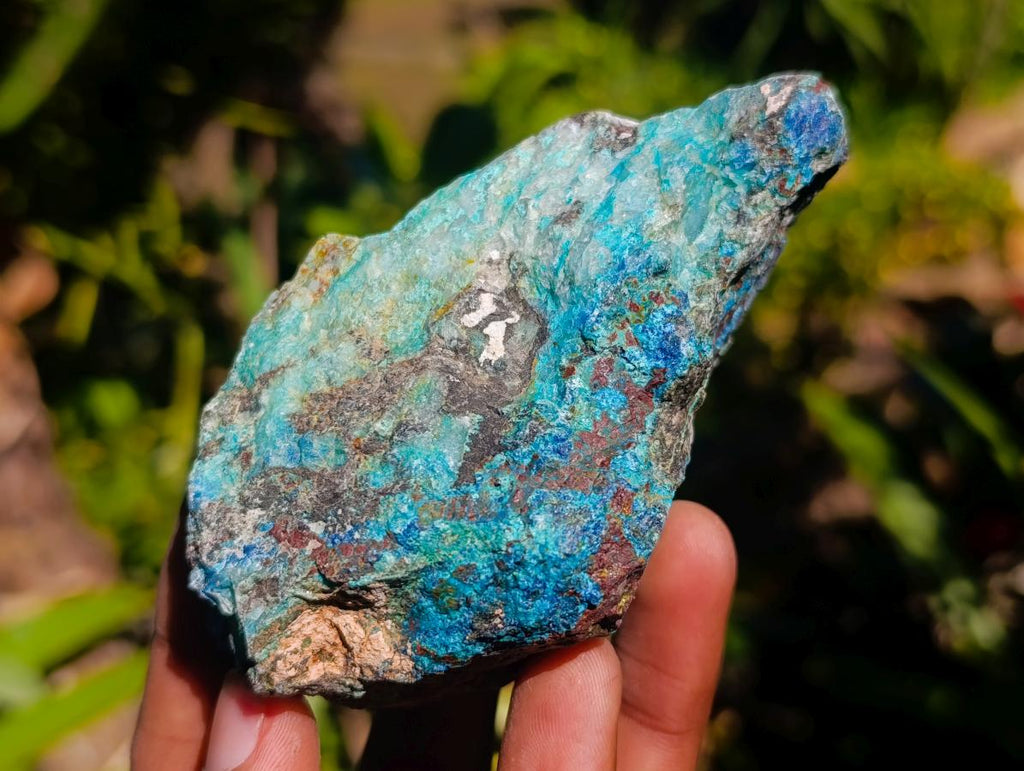 Natural Shattuckite, Malachite And Chrysocolla Specimens x 12 From Kaokoveld, Namibia