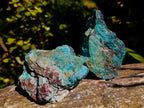 Natural Shattuckite, Malachite And Chrysocolla Specimens x 12 From Kaokoveld, Namibia
