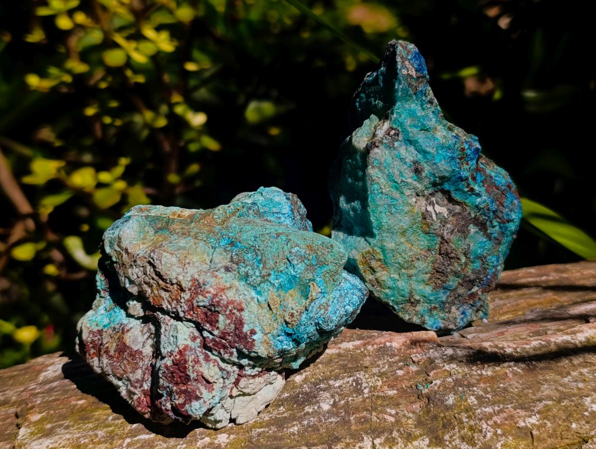 Natural Shattuckite, Malachite And Chrysocolla Specimens x 12 From Kaokoveld, Namibia