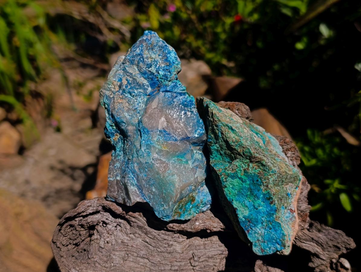 Natural Shattuckite, Malachite And Chrysocolla Specimens x 12 From Kaokoveld, Namibia