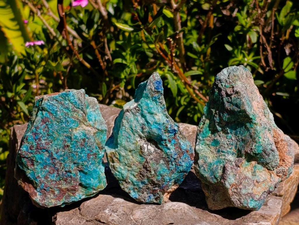 Natural Shattuckite, Malachite And Chrysocolla Specimens x 12 From Kaokoveld, Namibia