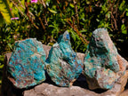 Natural Shattuckite, Malachite And Chrysocolla Specimens x 12 From Kaokoveld, Namibia