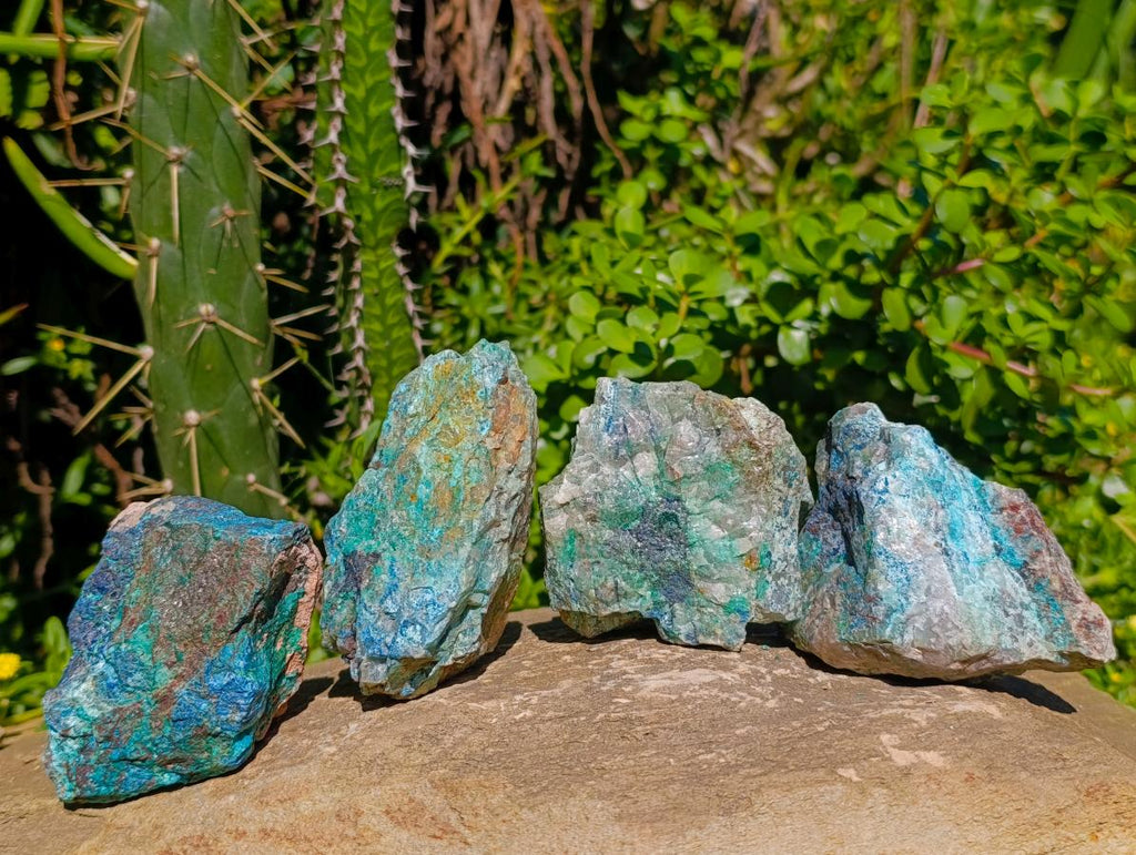 Natural Shattuckite, Malachite And Chrysocolla Specimens x 12 From Kaokoveld, Namibia