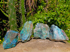 Natural Shattuckite, Malachite And Chrysocolla Specimens x 12 From Kaokoveld, Namibia