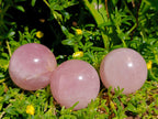 Polished Star Rose Quartz Spheres x 6 From Madagascar