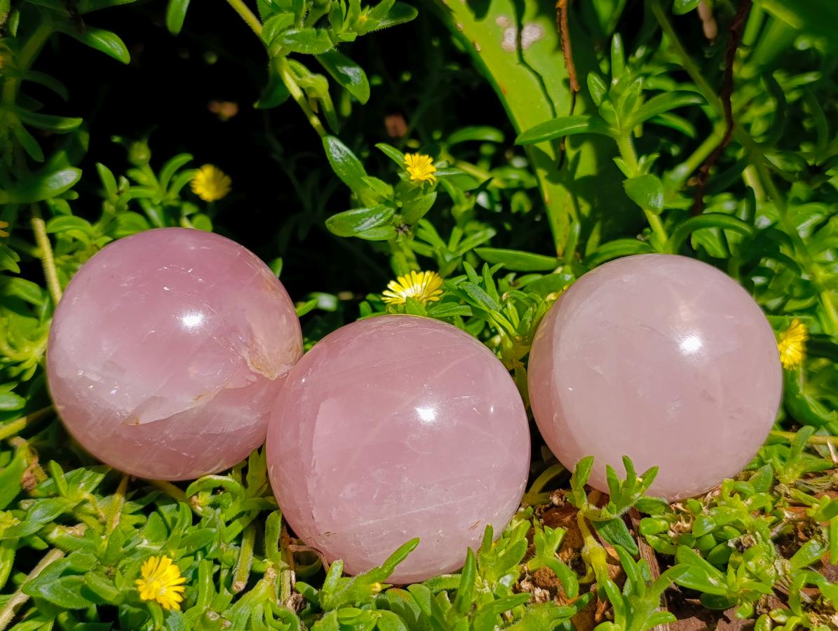 Polished Star Rose Quartz Spheres x 6 From Madagascar