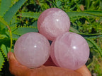 Polished Star Rose Quartz Spheres x 6 From Madagascar