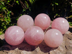 Polished Star Rose Quartz Spheres x 6 From Madagascar