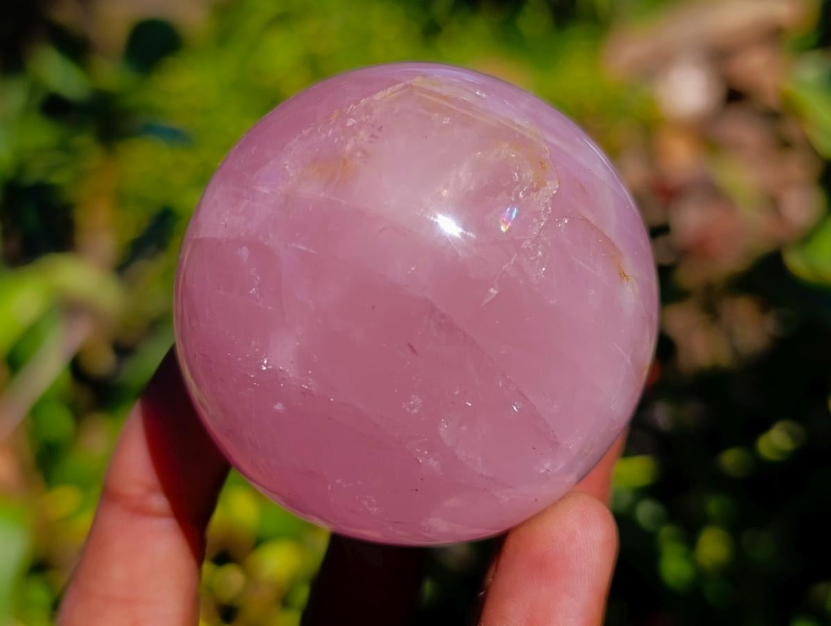 Polished Star Rose Quartz Spheres x 6 From Madagascar