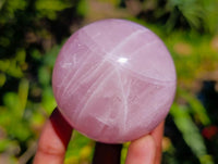 Polished Star Rose Quartz Spheres x 6 From Madagascar