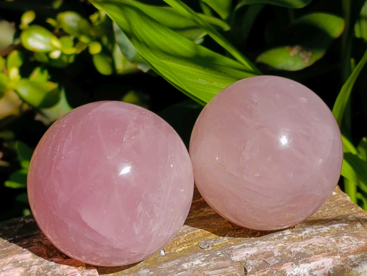 Polished Star Rose Quartz Spheres x 6 From Madagascar