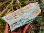 Natural Drusy Coated Chrysocolla With Malachite Specimens x 2 From Lupoto Mine, Congo