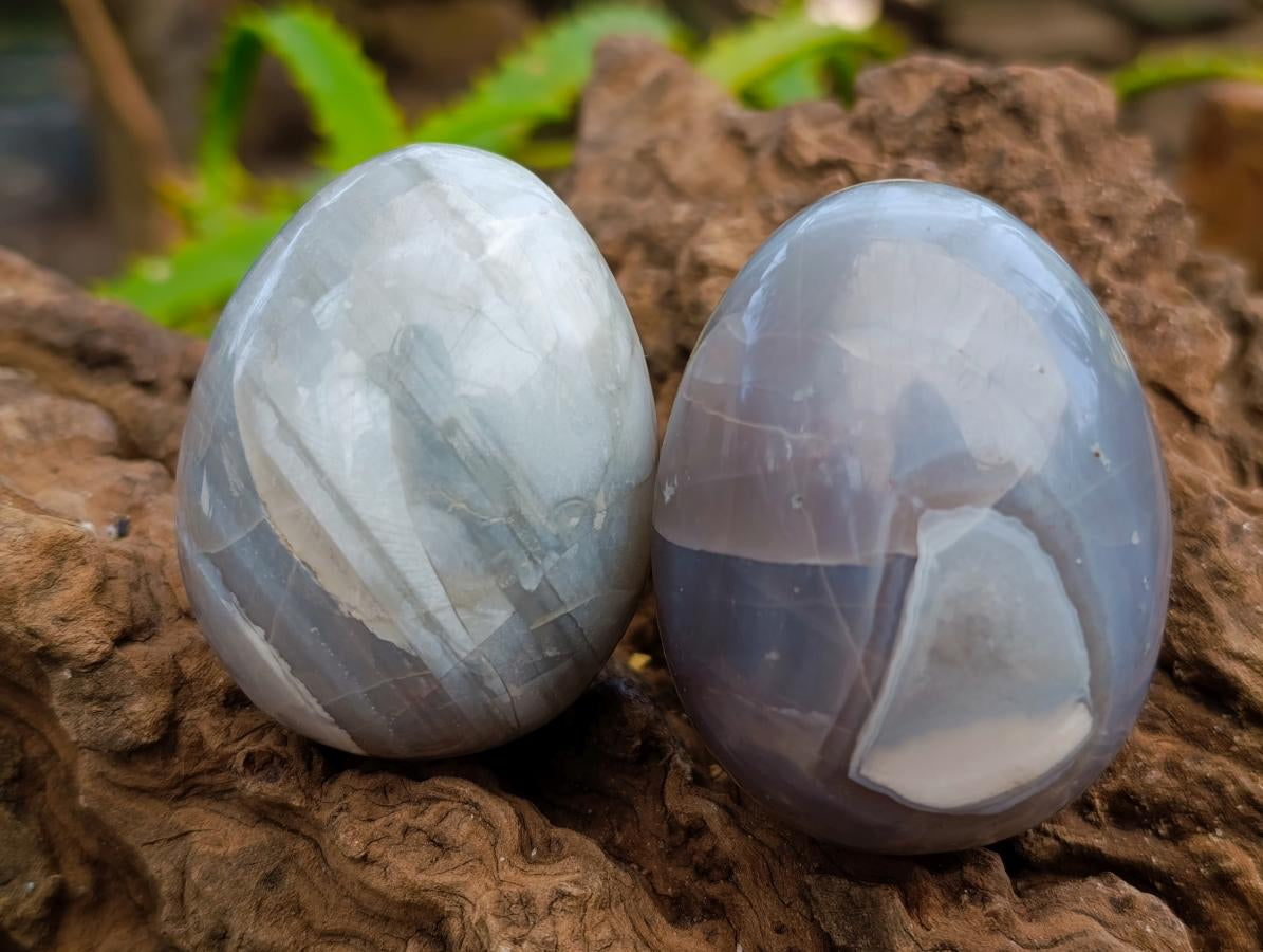 Polished Mixed Selected Minerals x 24 From Zimbabwe